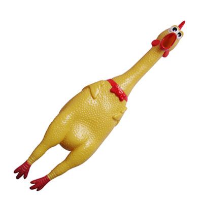 wrzaskliwy-kurczak-3673.jpg