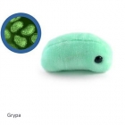 Wielkie mikroby - Grypa